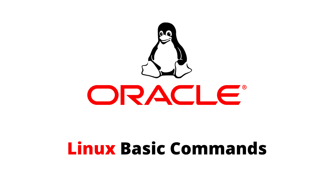 Linux Basic Commands